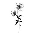 thumbnail image 3 of Wild Apple Portfolio 14x24 Black Modern Framed Museum Art Print Titled - Silhouette Floral IV, 3 of 5