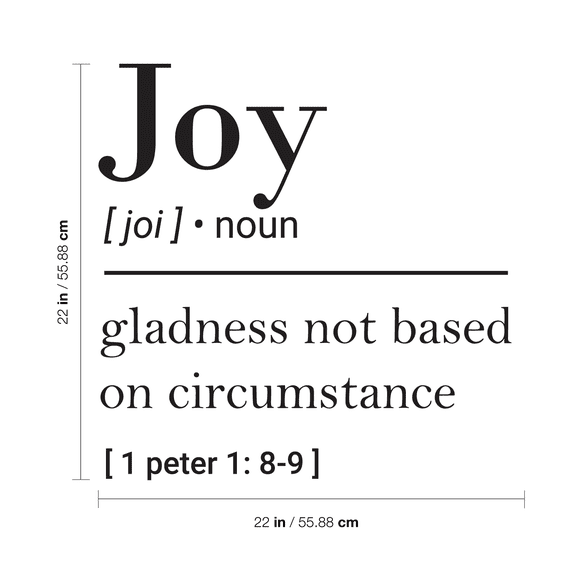 Vinyl Wall Art Decal - Joy Gladness Not Based On Circumstance - 22" x 22" - 1 Peter 1:8-9 Inspirational Religious Faithful Quote For Home Bedroom Living Room Church Work Decor