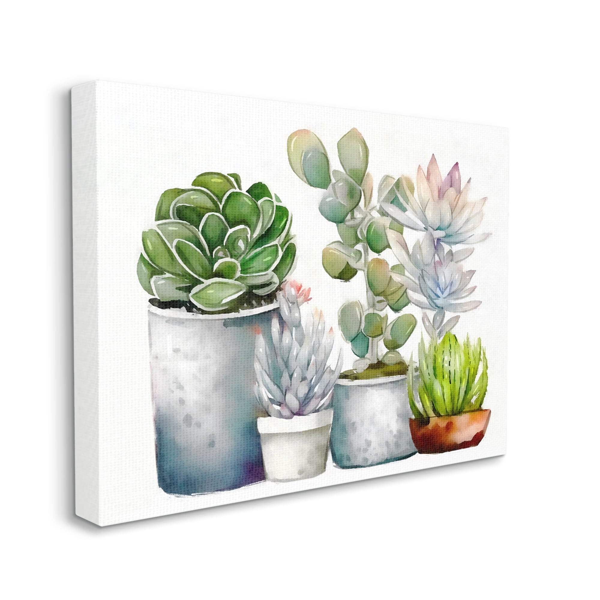 Stupell Industries Mixed Botanicals Floral Succulents Botanical & Floral Painting Gallery Wrapped Canvas Print Wall Art