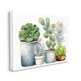 thumbnail image 4 of Stupell Industries Mixed Botanicals Floral Succulents Botanical & Floral Painting Gallery Wrapped Canvas Print Wall Art, 4 of 5