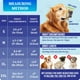 thumbnail image 3 of Bozal para perros Evollax, suave y transpirable, ajustable para perros grandes, 3 of 7
