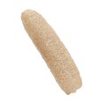 thumbnail image 2 of Éponge Luffa Exfoliante Naturelle Biodégradable, Planche de cellulose, Récurant, Récurant Cuisine Salle de Bain, 2 of 9