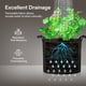thumbnail image 5 of Grow Bags VIVOSUN, paquete de 10 unidades, 37,85 L, tela reforzada para macetas, 5 of 7