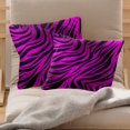 2Pc Throw Pillow Covers,Pillowcases,Pillow Cases 18x18 in,Animal Zebra
