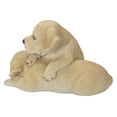 thumbnail image 3 of BABY LABRADORS PLAYING, 3 of 4