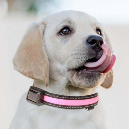 Usmixi Safety LED Pet Dog Collar Solar Rechargeable Reflective Dog Glowing Collar Adjustable Light Up Pet Necklace Water Resistant Flashing Light & Strong Buckle Keep Dog Visible at Night