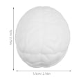 thumbnail image 4 of Miangastore Pu Brain Stress Ball Squishy Toy Human Brain Shape Squeeze Toy Portable Anti-Stress Pu Ball For Hand Exercise Relaxation Funny Stress Relieving Toy, 4 of 9