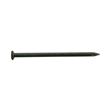Pro-Fit  2 in. Common  Bright  Steel  Nail  Flat  5 lb.