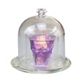 thumbnail image 2 of DOLITY Clear Smoke Hood Dome Cover Kitchen Tools for BBQ Steak Meat Bar Restaurant Cafe, 2 of 9