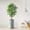 Ficus Tree, variant on Artificial Tree in Modern Planter, Fake Monstera Silk Tree for Indoor and Outdoor Home Decoration - 56" Overall Tall (Plant Pot Plus Tree)