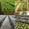 thumbnail image 5 of 2X Garden Greenhouse Hoop Set, Gardening Folding Fiber Pole Set, Arch Greenhouse Planting Tunnel Bracket, 5 of 6