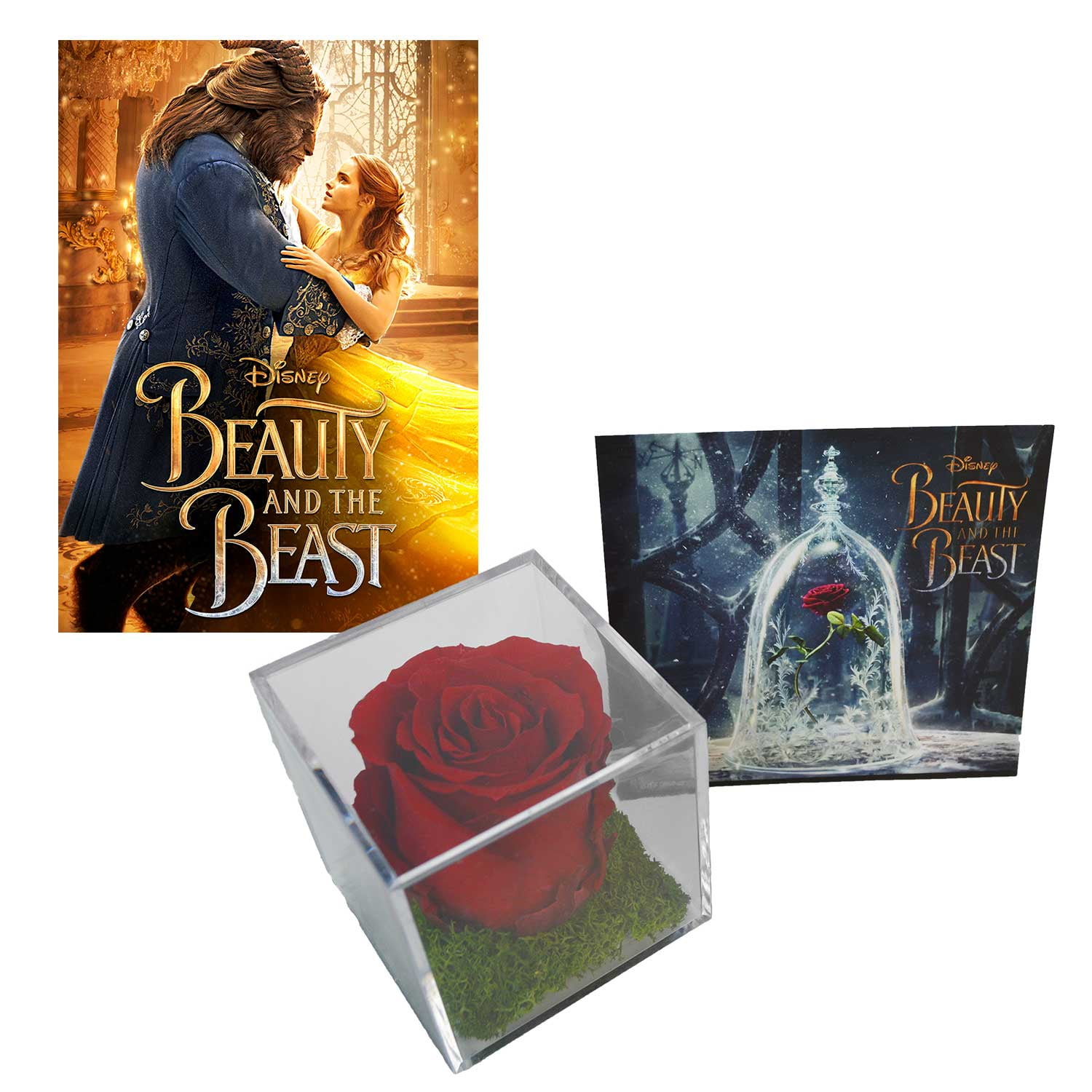 beauty and the beast rose puzzle beauty and the beast rose puzzle