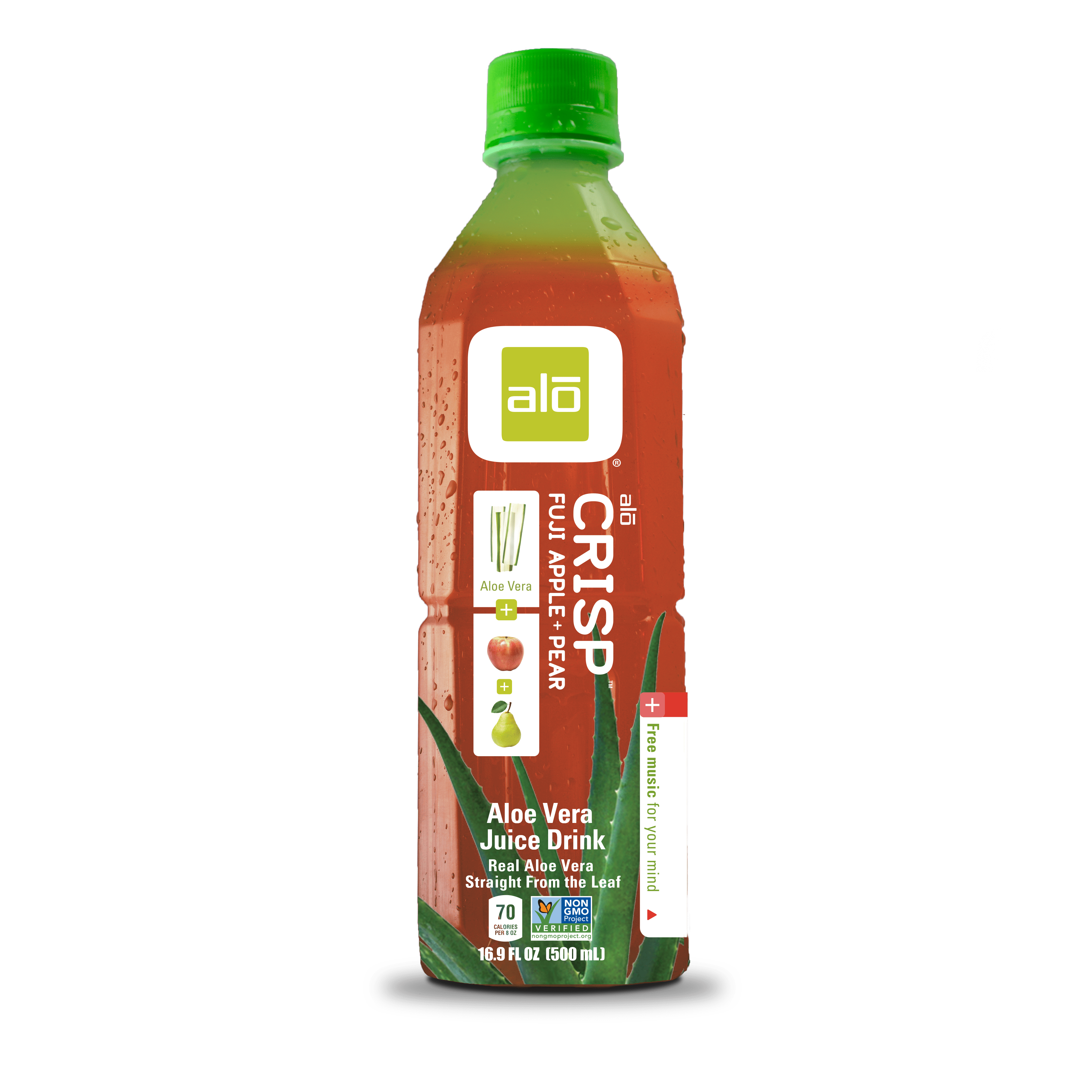 Wantrouwen Zeug reparatie Aloe Crisp Aloe Vera Juice Drink, Fuji Apple & Pear, 16.9 Fl Oz, 12 Count -  Walmart.com