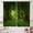Fantasy-10, variant on Stars Fantasy Forest Curtain Drapes 2 Panels Set Rod Pocket Magic Trees Trunk Bright Moon for Living Room Bedroom Decor