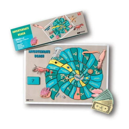 Hubbard Scientific 8852 Invertebrate Beach