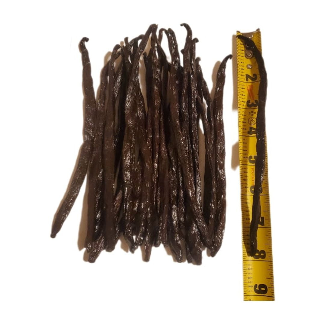 Madagascar Vanilla Bean  Vanilla Beans baking Grade A Pods -1/2lb