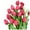 A150, variant on Tulips Fake Flowers 10 Pcs Artificial PU Faux Flowers Real Touch Red Tulips Bouquet Arrangement for Home Room Table Centerpieces Office Wedding Party Mothers Day Gift Decor