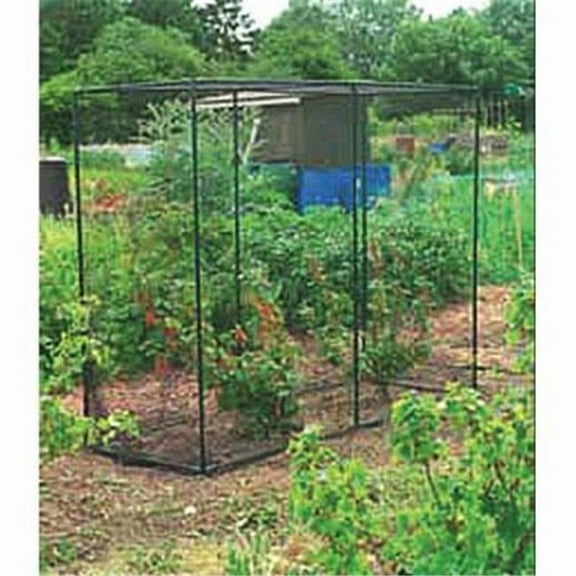 Fruit Cage Large