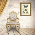 thumbnail image 3 of Vision Studio  15x18 Gold Ornate Wood Framed with Double Matting Museum Art Print Titled - Butterfly Delight II, 3 of 4