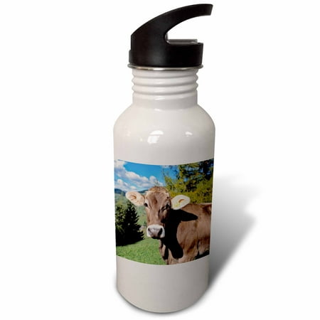 

Italy Dolomite Alps Swiss Brown cow - EU16 RER0140 - Ric Ergenbright 21 oz Sports Water Bottle wb-82188-1