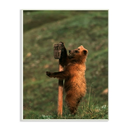 The Stupell Home Decor Collection Grizzly Bear Cub Scratching Park Sign Wood Wall Art