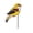 D, variant on Eqslft Suncatcher Stained Glass Garden Stake,Creative Acrylic Animal Garden Stakes,Colorful Markers for Indoor & Outdoor Decor