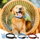 thumbnail image 3 of Collares reflectantes para gatos con cascabeles, correas ajustables de nylon para mascotas pequeñas, mayor visibilidad y seguridad para paseos nocturnos 3 piezas, 3 of 8