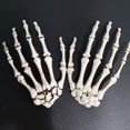 thumbnail image 4 of 1 par de manos de plástico de esqueleto de Halloween, esqueleto de garra de calavera, manos de hueso aterradoras para decoración de Halloween, 4 of 5