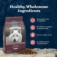 thumbnail image 6 of Blue Buffalo Wilderness High-Protein Natural Dry Food for Senior Dogs, Salmon Recipe, 13-lb. Bag, 6 of 11