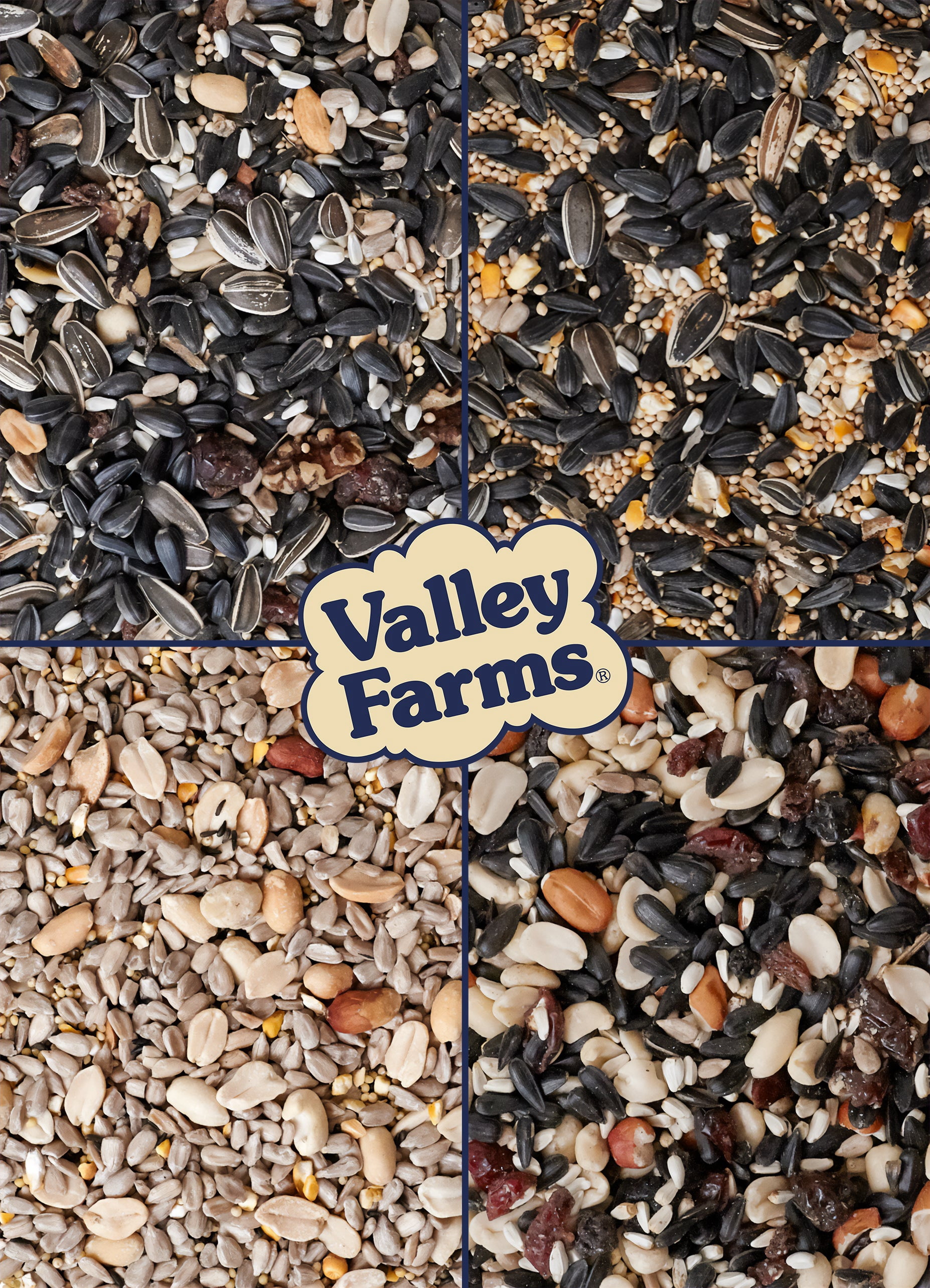 Valley Farms Premium Bird Lover Gift Bundle Wild Bird Food (Pack of 4)