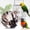 A, variant on dog bed Small Pet Breeding Bed Hut Conure House For Budgie Cockatiel Conure Lovebird Canary Hamster Small Pet