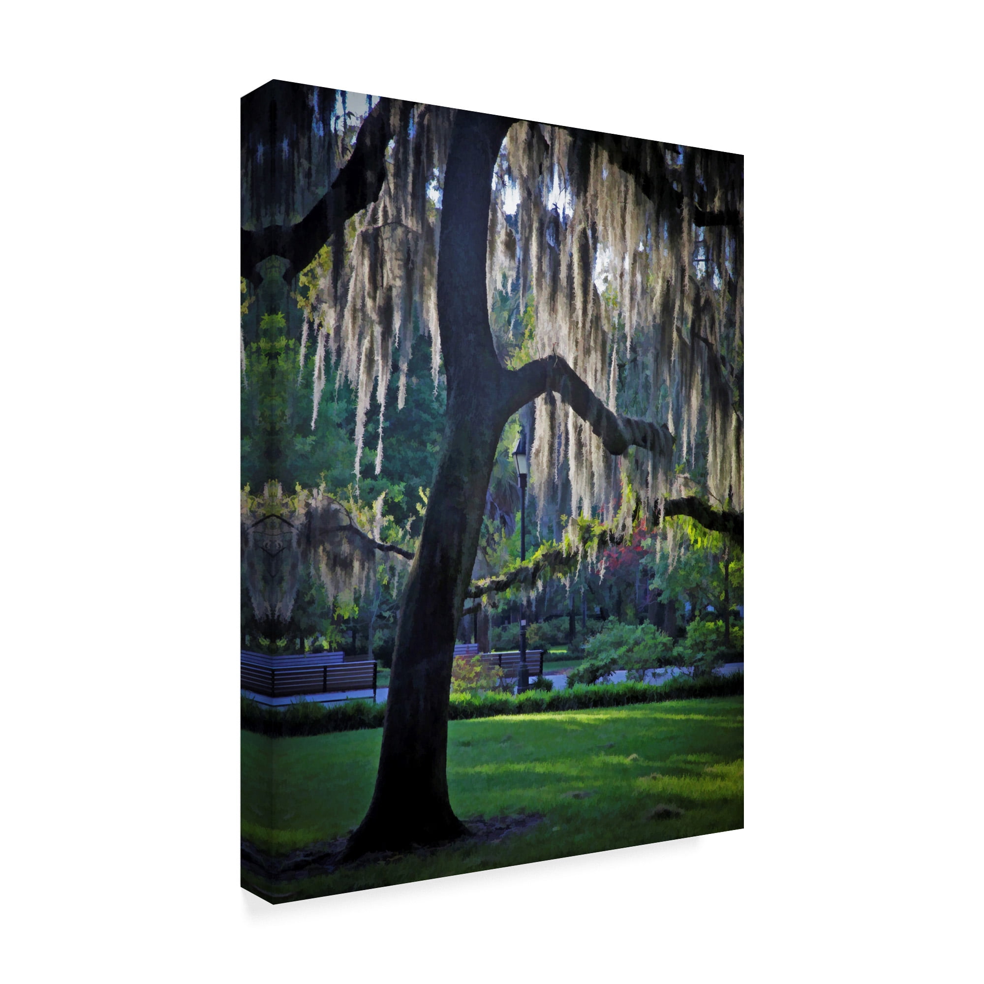 Trademark Fine Art 'Forsyth Pk, Savannah' Canvas Art by J.D. McFarlan