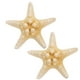 thumbnail image 3 of 2 pinzas para el pelo de estrella de mar de cinco puntas hechas a mano, accesorios para el pelo de playa para mujeres y niñas, tamaño aproximado de 5 a 10 cm., 3 of 5