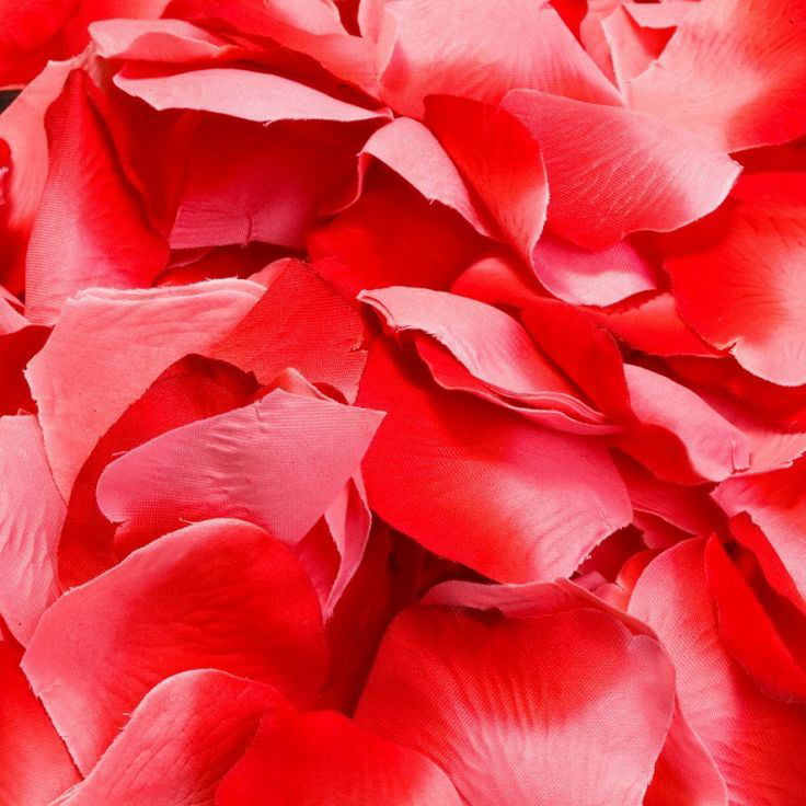 100Silk Rose Petals dark red Wedding Birthday  valentine Confetti UK Seller 