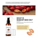 thumbnail image 4 of Aceite esencial de rosa mosqueta, cuidado del cabello, hidratación, piel, spa, raspado, masaje, aceite esencial, 100 ml de suero de agua., 4 of 5