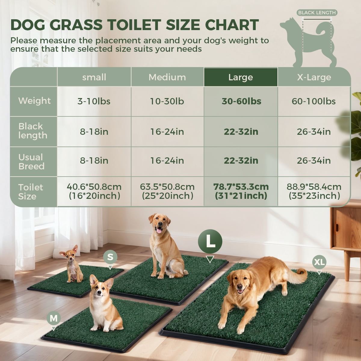DOMIPET 5-Layer Dog Grass Pad with Tray, 31"x21", 2 Reusable Artificial Turf for Dogs Potty, Quickly Absorbency Portable Dog Litter Box Bathroom Turf, Waterproof Non-Slip Washable Puppy Pee