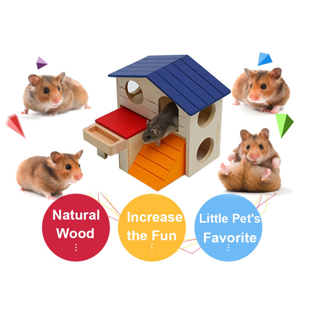 Alfie Pet Wade Travel Carrier Vacation House for Small Animals Like Dwarf Hamster and Mouse 