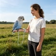 thumbnail image 6 of ZhangC Adjustable Bird Harness Leash Set, 79 Inch Leash Breathable Cloth Flight Vest, Outdoor Walking Training Strap for Small to Large Birds, Prevent Escape, 6 of 6
