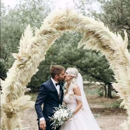 pampas plumes 20pcs