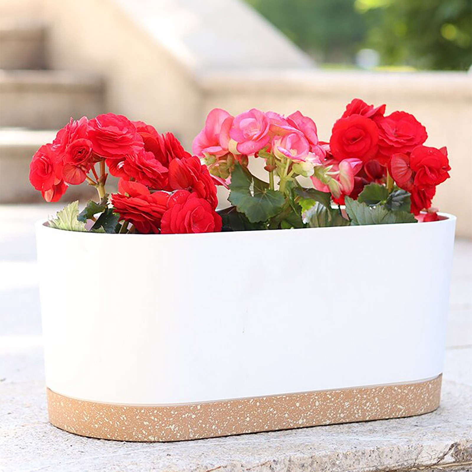 Window Box Planter, Flower Window Boxes, Rectangular Planter Box with Drainage Holes & Tray - Window Sill, Balcony, Patio Garden Decor for Vegetables, Flowers, Bedroom, Living Room, Porch