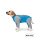 thumbnail image 1 of Pijama de recuperación de cirugía postoperatoria para perros pequeños y grandes, mono de Mono para mascotas, Anti pérdida de cabello, mediano y grande, 4 piernas, Xxxl, 1 of 4