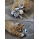 thumbnail image 5 of Peluche Interactivo para Perros y Gatos (cricket), 5 of 5