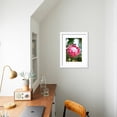 thumbnail image 4 of Pink Protea, Botanical Framed Art Print Wall Art by Karyn Millet Sold by Art.Com, 4 of 5