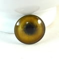 thumbnail image 2 of Tan Lion Glass Eyes, 2 of 6