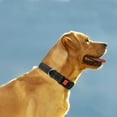thumbnail image 5 of Taglory Reflective Dog Collar with Locking Buckle, Adjustable Nylon Collar for Small Dogs, Black, 5 of 7