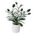 thumbnail image 1 of Planta Artificial de Olivo para Decoración de Mesa, Planta Artificial para Estante, Oficina O Hogar., 1 of 9