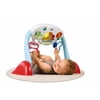 Chicco I-Gym