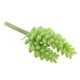 thumbnail image 1 of Artificial Pntas Flores de Paisaje de Plástico para Decoración Hotel de Ventana 1 14cm perfecl Succulenta Artificial, 1 of 8