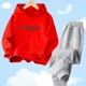 thumbnail image 3 of Conjunto de chándal de dos piezas para adolescentes de 2 a 13 años, sudadera con capucha y pantalones de chándal para primavera y otoño, ropa para niños, trajes deportivos, 3 of 5