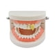thumbnail image 2 of 2xHiphop Double Cap Fang Grills Dientes Hollow Top Tooth Fernando Tapa de parrillas de dientes de boca, 2 of 6